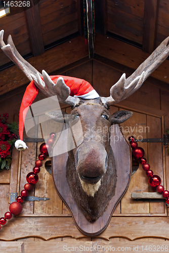 Image of Christmas Moose