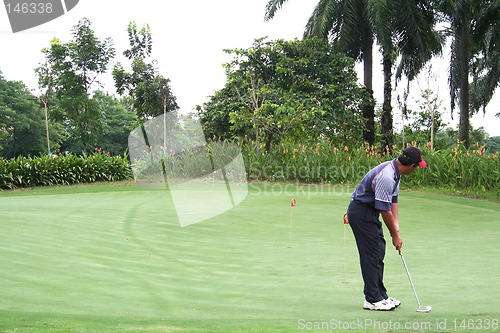 Image of Tropical golf