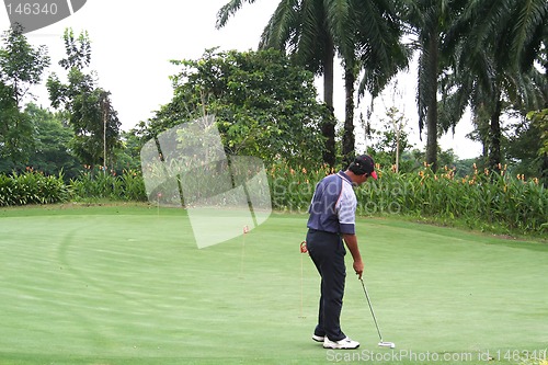 Image of Tropical golf