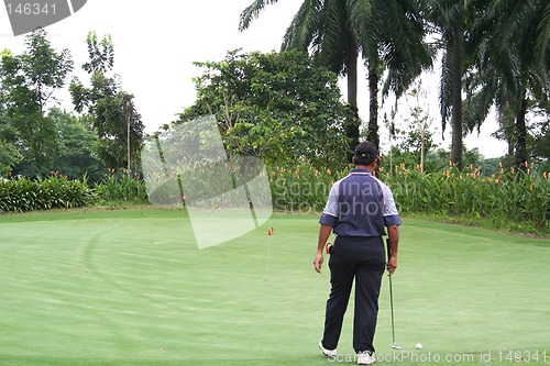 Image of Tropical golf