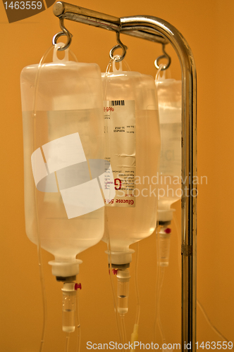 Image of Infusion bottles hanging on metal holder