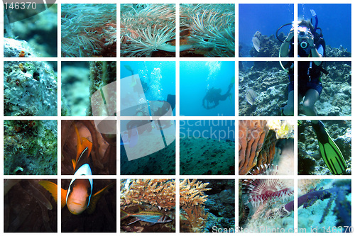 Image of Fabulous underwater collage