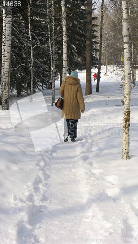 Image of Woman on the winter path