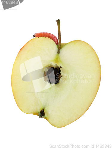 Image of worm on apple