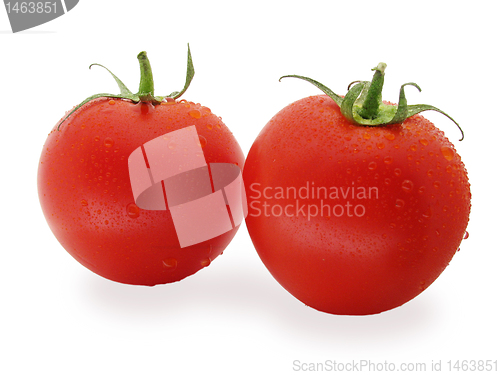 Image of two wåt tomatoes 