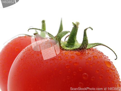 Image of top of two wet tomatoes 