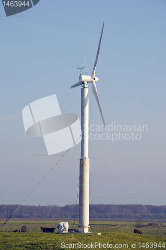 Image of Rotating windmill and cows. Wind renewable energy.