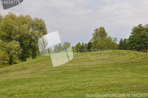 Image of Greenery