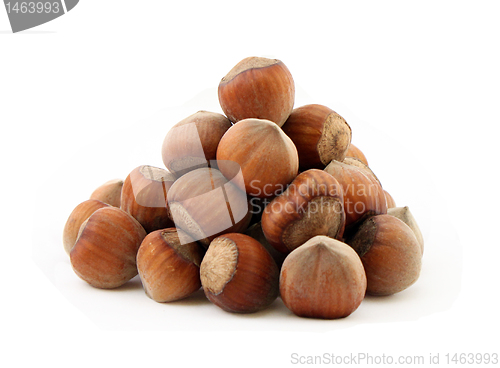 Image of hazelnuts