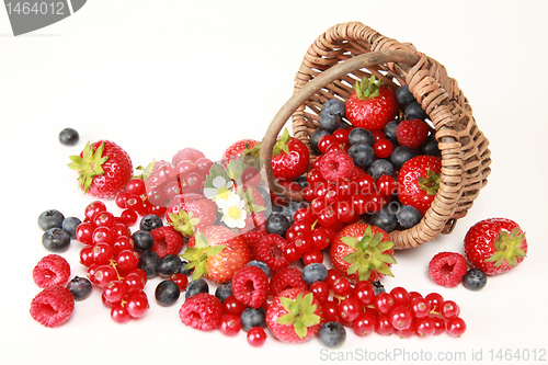 Image of Berry Mix