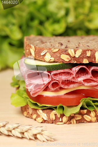 Image of Salami Sandwich