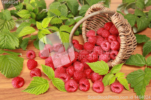 Image of Raspberries