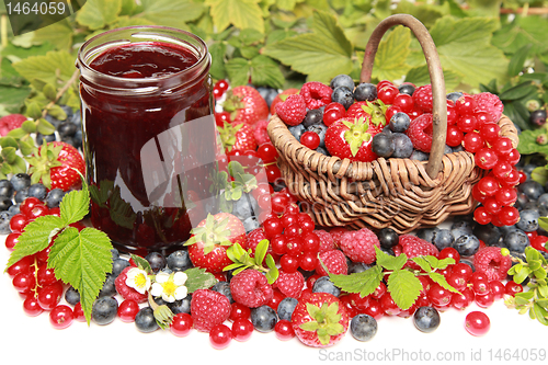 Image of Berries