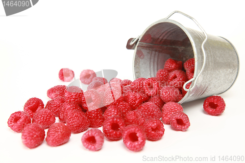 Image of Raspberries