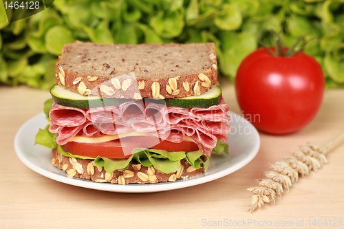 Image of Salami Sandwich