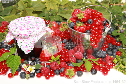 Image of Berries