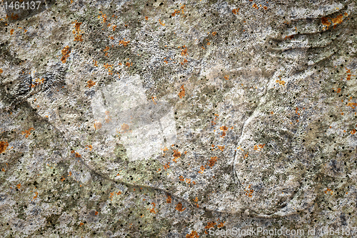 Image of old stone lichen background