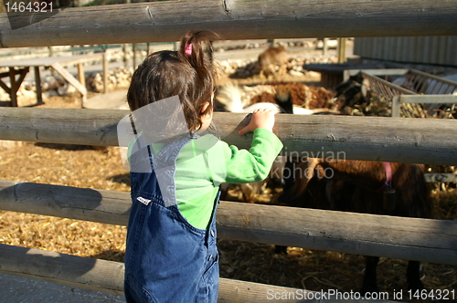Image of A child in a zoo