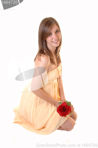 Image of Lovely girl with rose kneeling.