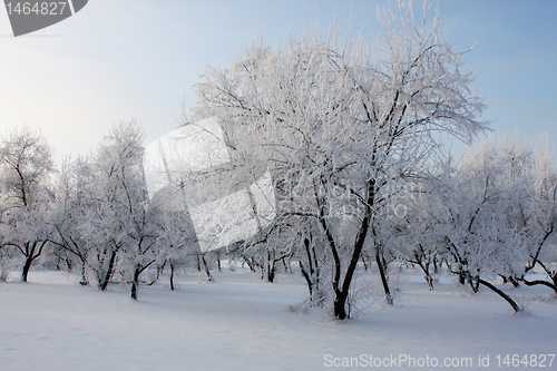 Image of park at winter