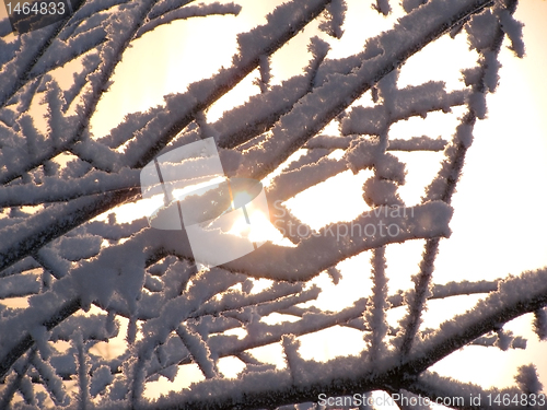 Image of winter morning