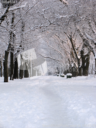 Image of park at winter