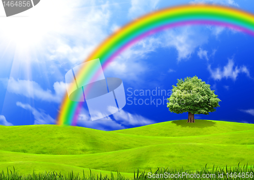 Image of Green grass