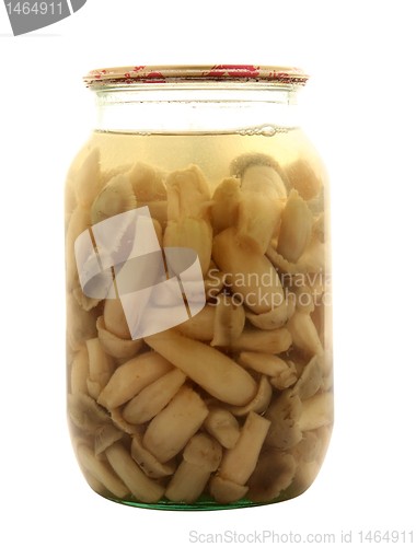 Image of sealed jar with mushrooms