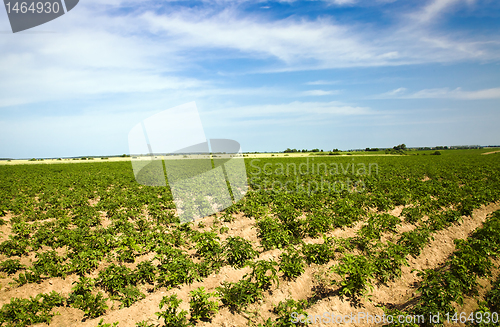 Image of Agriculture