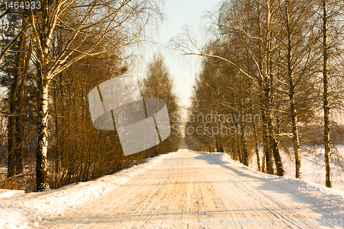 Image of Road (winter)