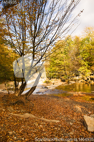 Image of Mountain small river