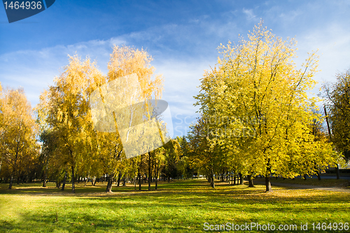 Image of Autumn park