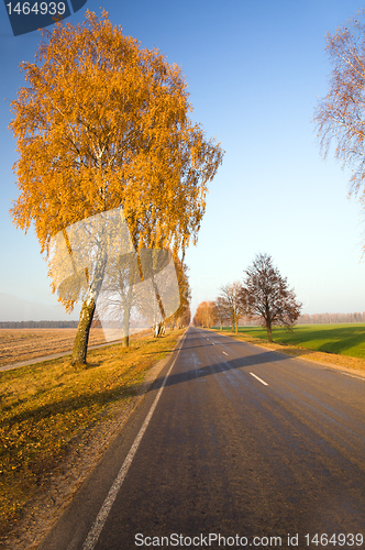 Image of Autumn road