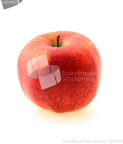 Image of red apple