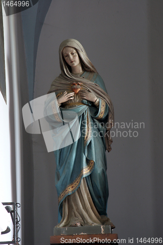 Image of Immaculate Heart of Mary