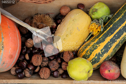 Image of Autumn Harvest