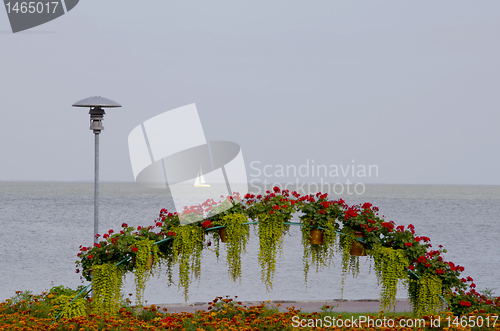 Image of Flowers blooming in park near lake. Sailing boat.