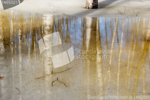 Image of Melting snow and ice over birch forest reflections