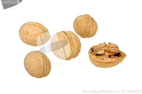 Image of pile of walnuts