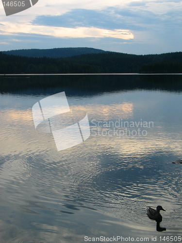 Image of Duck & forrest lake