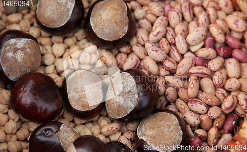 Image of Autumn Harvest
