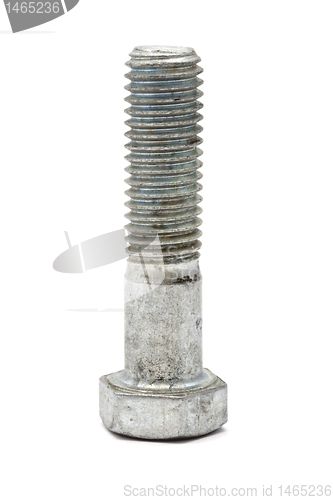 Image of Big Bolt