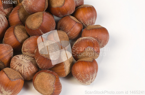 Image of Hazelnuts