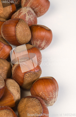 Image of Hazelnuts