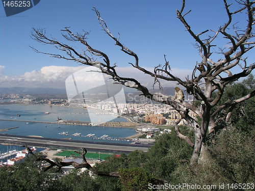 Image of Gibraltar