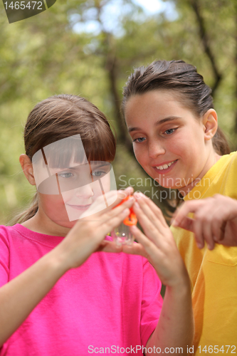 Image of Bug Hunting in the Woods