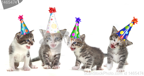 Image of Birthday Song Singing Kittens on White Background