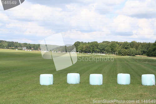 Image of Packages of ensilage