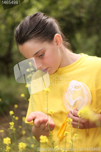 Image of Bug Hunting in the Woods