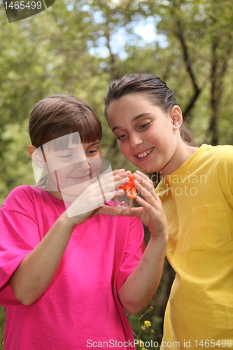 Image of Bug Hunting in the Woods